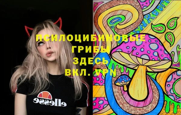 бутират Баксан