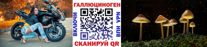 Галлюциногенные грибы Magic Shrooms  купить наркотик  Балтийск 